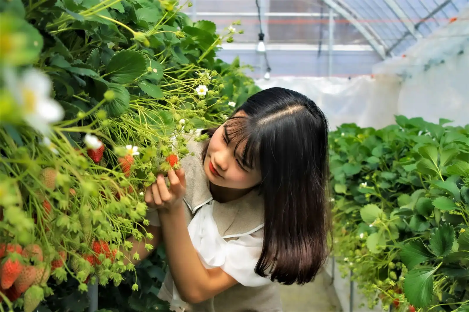航天电子器件可靠性设计：从选型到验证的精密制造实践