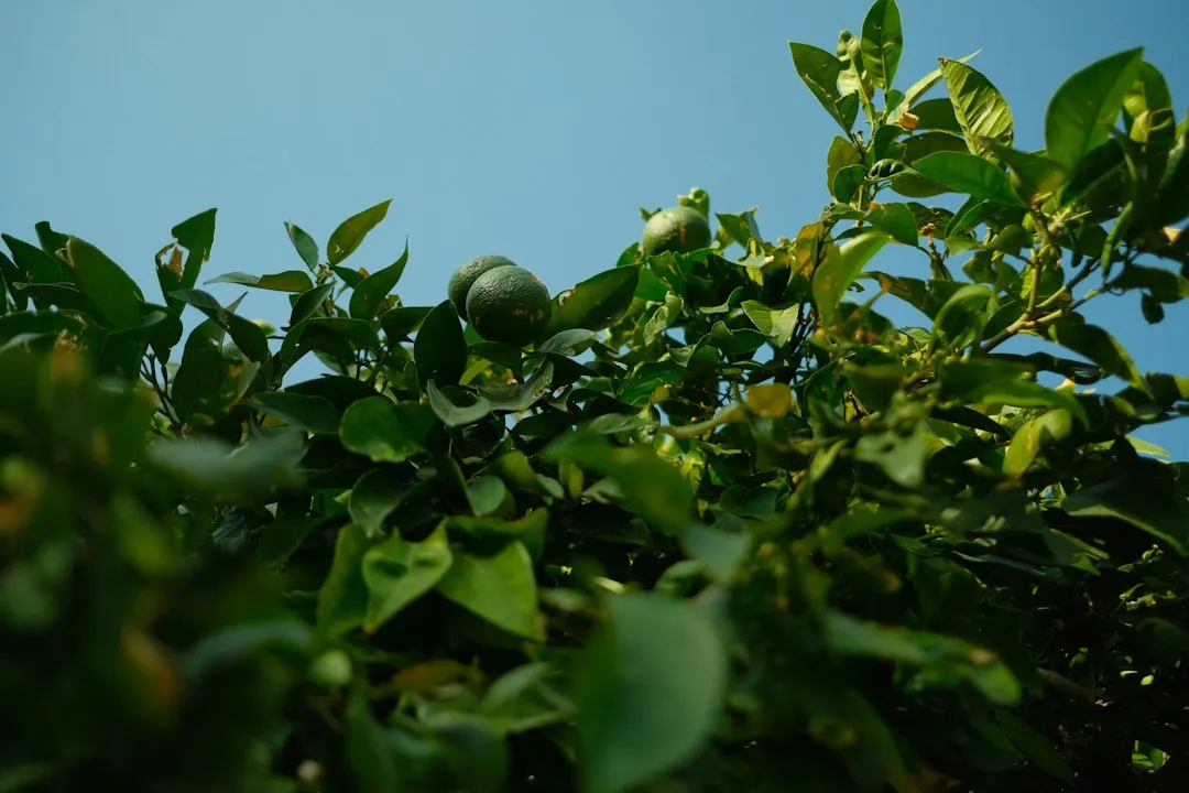 卫星通信设备精密制造工艺解析：从器件选型到军工配套的质量控制