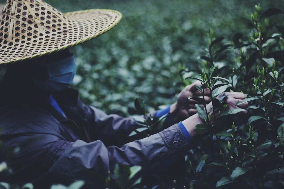 航天电子器件高可靠性设计与验证技术要点解析
